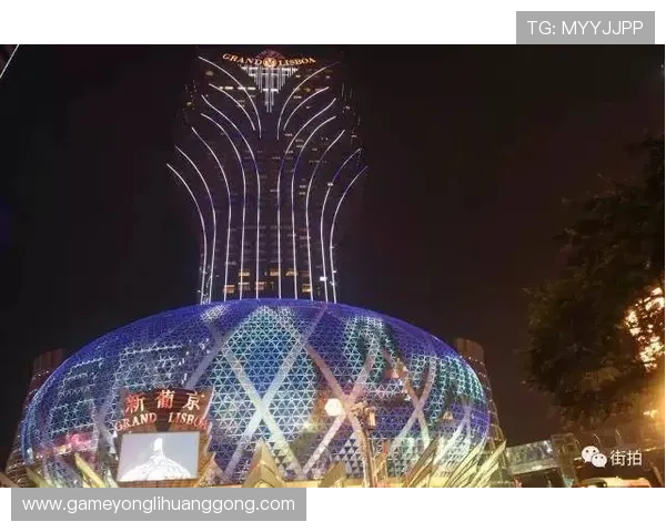 澳门新葡京在线客户端下载指南,快速便捷开启精彩娱乐之门 澳门新葡京在线客户端下载指南,快速便捷开启精彩娱乐之门