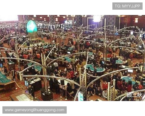 澳门金龙赌场实用攻略指南帮助新手快速融入赌场环境体验精彩娱乐 澳门金龙赌场实用攻略指南帮助新手快速融入赌场环境体验精彩娱乐